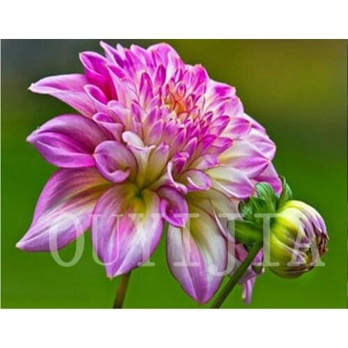 5d DIY Plant Flower Embroidery Full Display Diamond Embroidery Complete Kit Plant Home Decoration Diamond Art