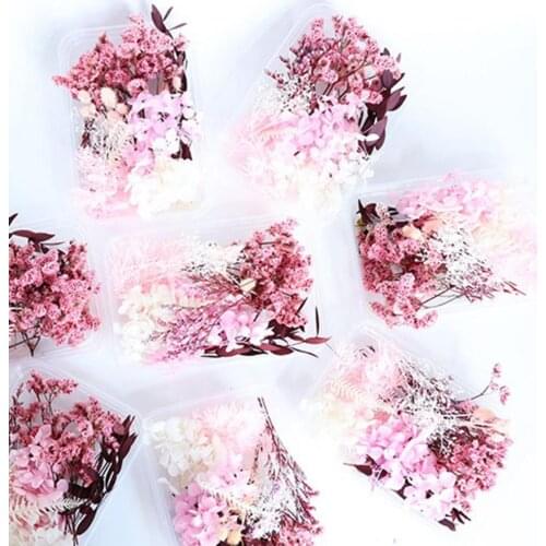 5 Colors 1 Box Attractive Exquisite Non-fading Preserved Flower Dried Flower Flower Display Beautiful for Bedroom