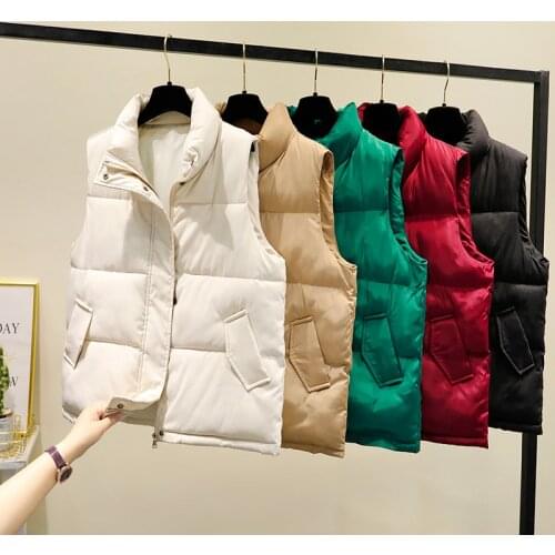 2021 Autumn Vest Coat Womens Clothing Fur Bubble Jacket Winter Coat 100% Cotton Parka Sleeves Women Fashion Clothing