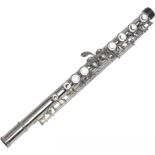 Flute Concert Instrument Set Musical C Foot Flute Closed Holes 16 key with Carrying Case for Beginner