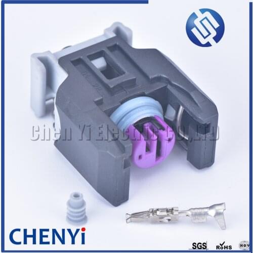 1 set 2 pin sealed Delphi EFI diesel common rail engine H5H6 injector nozzle connector plug For Buick The Great Wall 13816706