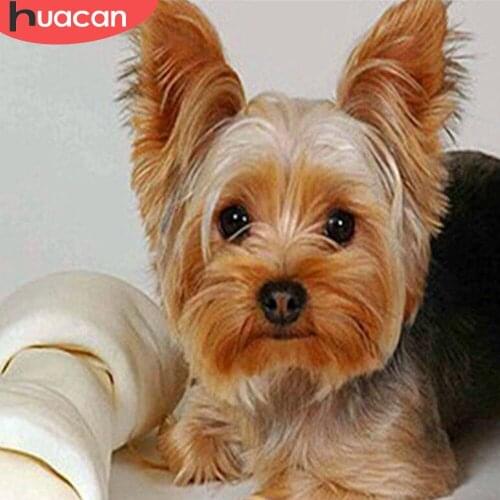 HUACAN DIY Diamond Painting Dog Full Square Diamond Embroidery Cross Stitch Animal Picture Of Rhinestone Decoration