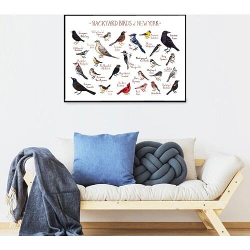 Backyard Birds of New Yorks Poster Animals Canvas Print Modern Nordic Style Art Painting Wall Decoration Picture Home Decor