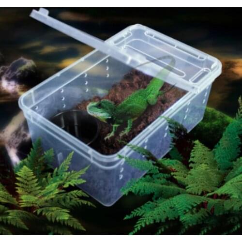 1pc Transparent Plastic Box Insect Reptile Transport Breeding Live Feeding Boxes Tortoise Spider Scorpion Container
