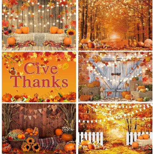 Autumn Forest Photography Backdrop Fall Landscape Maple Leaves Background Thanksgiving Natural Scenery Pumpkins Harvest Banner