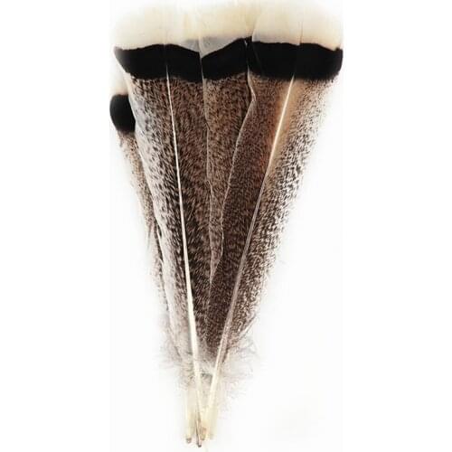 Beautiful turkey feathers 25-30cm/10-12inches Party carnival Accessories For Wedding DIY feathers for crafts plume