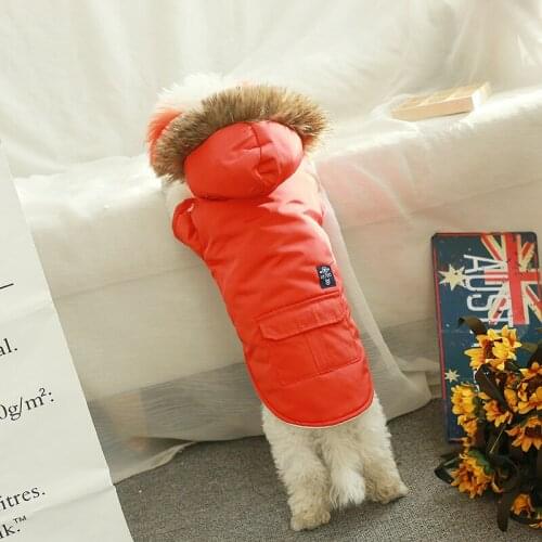Dog Winter Jacket Clothes For Puppy Coats Warm Fleece Outfits Hoodie Style Pet Dog Costume Two-legged Winter Jackets for Dogs