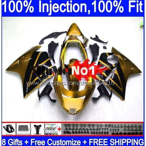 CBR1100 XX For HONDA Blackbird CBR 1100XX 96 93MC.108 CBR1100XX 2002 2003 2004 2005 2006 2007 02 03 05 06 07 Fairing Gold Black