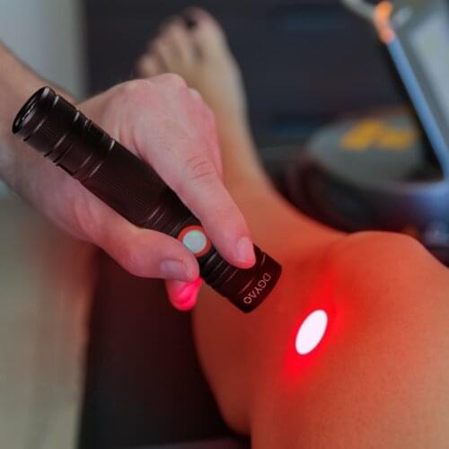 Portable Red Infrared Light Therapy Bulb 660nm 880nm Flashlight Hand Foot Muscel Pain Relief Deep Penetrating Devices for Pets