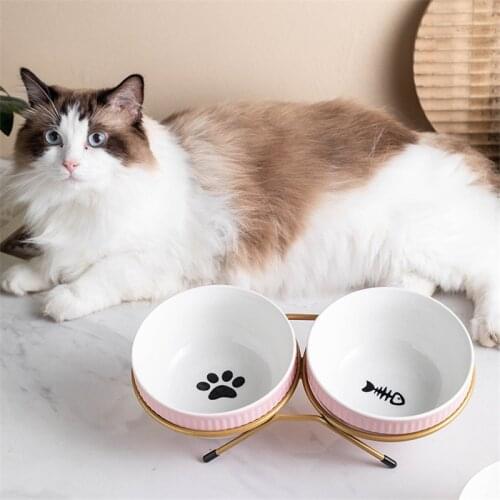 New Ceramic Pet Bowl Protect The Spine Table High Foot Cute Cartoon Feeder Dog and Cat Cartoon Bowl Pet Supplies