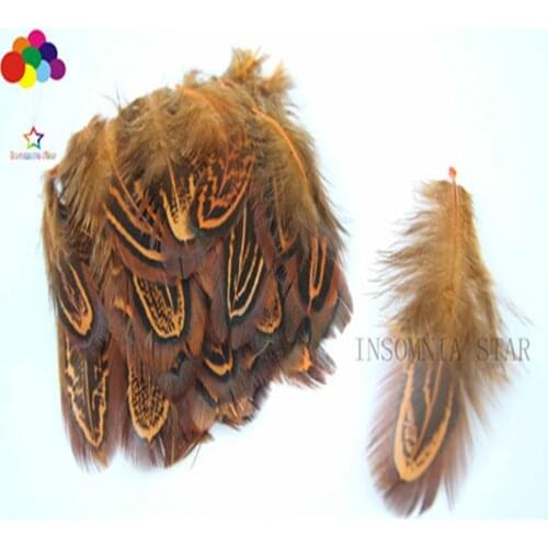 Wholesale 5-10CM (2-4 inches) Pheasant Feather Dyed Orange 100PCS DIY Craft Headdress Earrings Accessories Feather