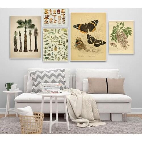 Paleobios Plant Retro Poster Flower Animal Insect Butterfly Mushrooms Canvas Painting Wall Art Canvas Oil Painting Home Decor