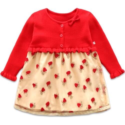 High quality spring&autumn baby girl birthday wedding dress red roses embroidery flower appliques layered yarn tutu dress 6-24M