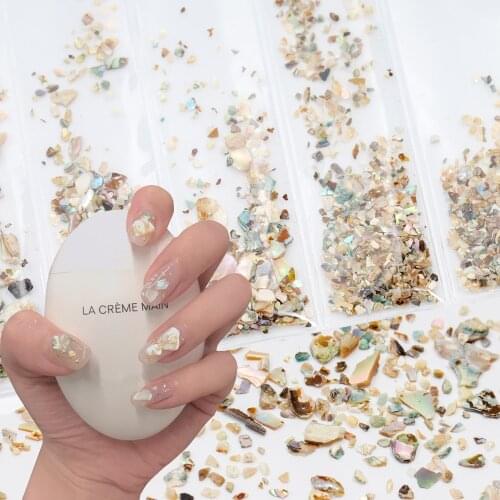 1 pack Abalone Shell Fragments Texture Natural Sea Shell 3d Charm Nail Art Decoration Slice powder Salon Nail Decals Tools