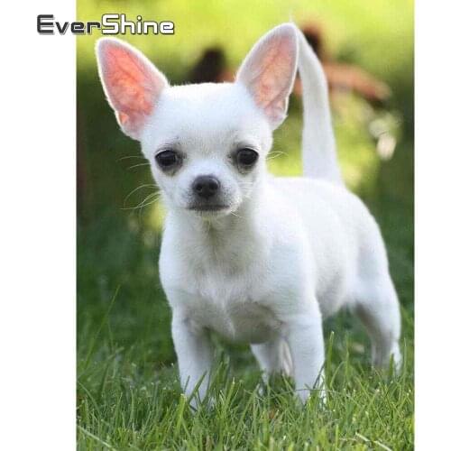 Evershine Diamond Embroidery Dog Full Set Animals Rhinestone Picture Diamond Painting Cross Stitch Christmas Decoration For Home