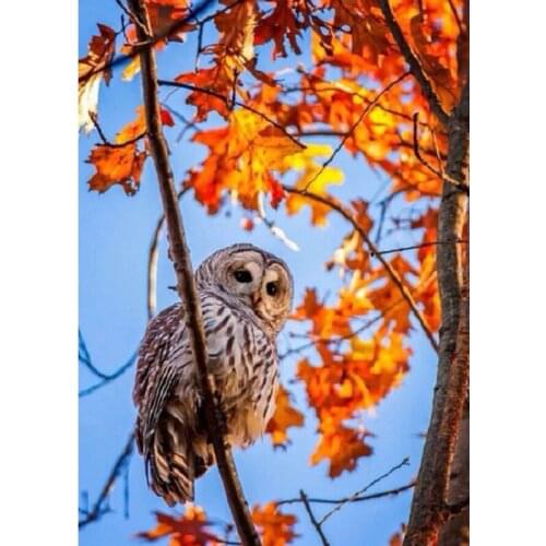 YIKEE diamond painting owl,cross stitch diamond,diamond mosaic paintings Y1736
