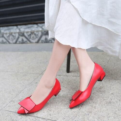 Low Heel Shoes Women Pumps Party Comfort Beautiful Shoes for Women Heels Fashion Simple Pointed Toe Heels Ladies Elegant Shoes