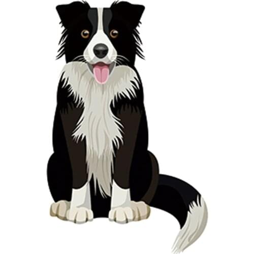 JuYouHui Exterior Accessories Decal Cute Border Collie Vinyl Stickers Pet Dog Puppy Laptop Cartoon Car Sticker Decal Graphic