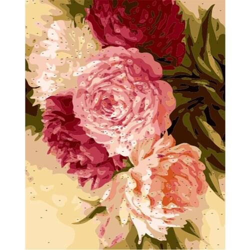 Oil Painting Peony Painting By Numbers Paint Flower DIY Canvas Picture Hand Painted Home Decoration Diy Frame Gift