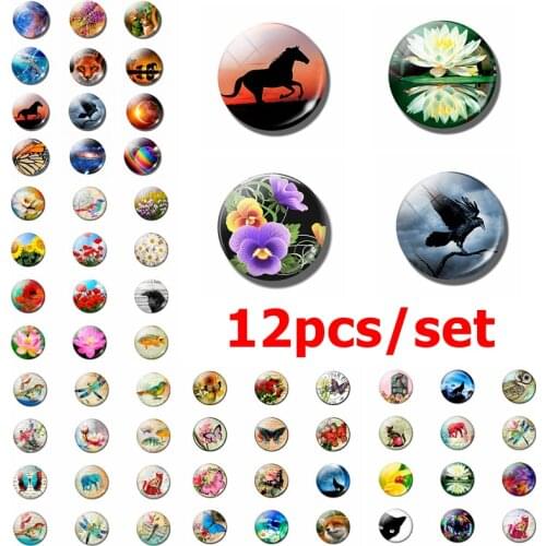 12pcs Animal Plant Fridge Magnet Bird Flower Message Board Sticker Horse Butterfly Different Kinds of Fridge Magnet Home Decor
