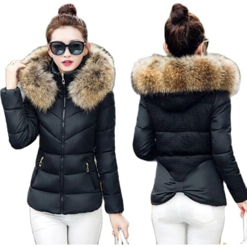 Winter Jacket Women Parkas for Coat Fashion Female Down Jacket With a Hood Large Faux Fur Collar 2020 plus size feminine coat