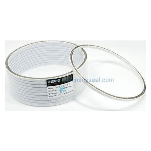 URS 160*170.5*7.1 V Spring Energized Food PTFE Seals Piston & Rod Seals for food environment