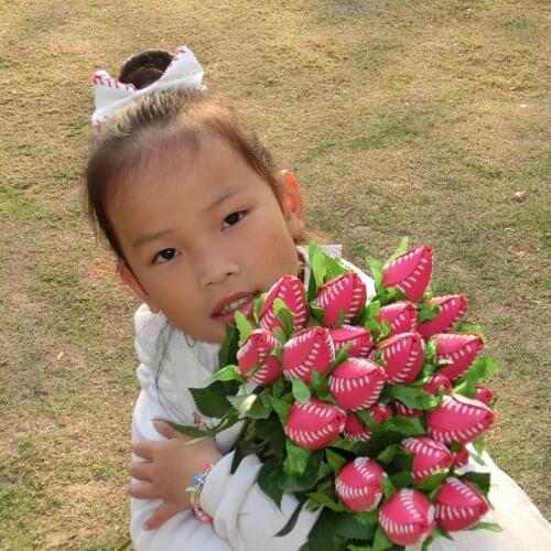 2019 Pink Baseball Rose. Swing for the heart