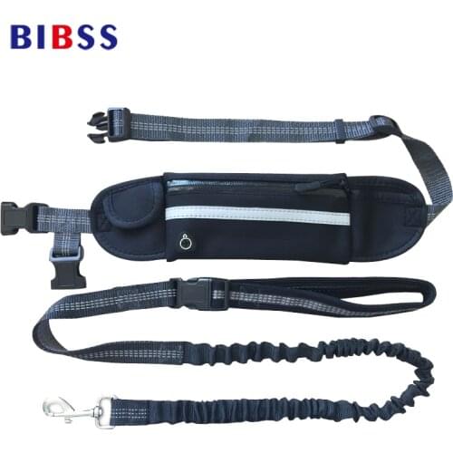 160CM 3 in 1 Hands Free Running Dog Leash lead with Adjustable Bungee Waist Belt, Multifunctional Pouch for Small Medium Dogs