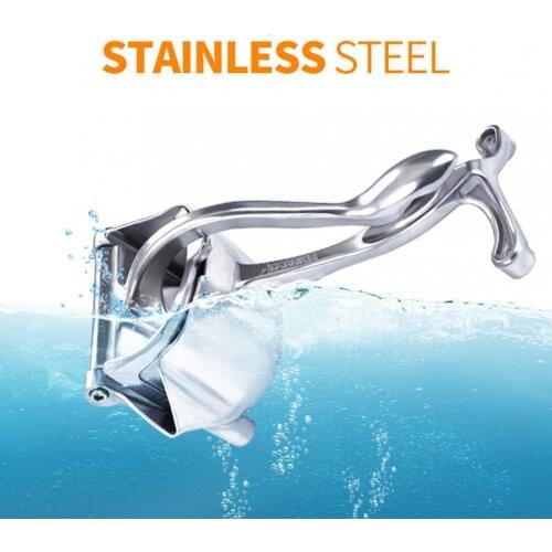 Stainless Steel Fruit Juicer