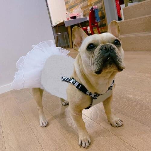 Princess Style Pet Dog Puppy Jean Dress Clothing For Small Medium Dogs French Bulldog Pug Skirt Clothes Dropshipping YKC08 YKC09