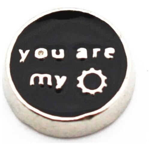 Hot selling 10pcs/lot You are my sun floating charms living glass memory lockets diy animal Accessory charms jewelry