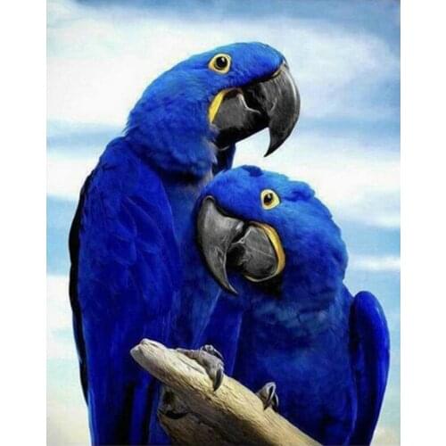 Full square/round drill 5d diy diamond painting Parrot animal rhinestones embroidery Diamond Mosaic painting by numbers