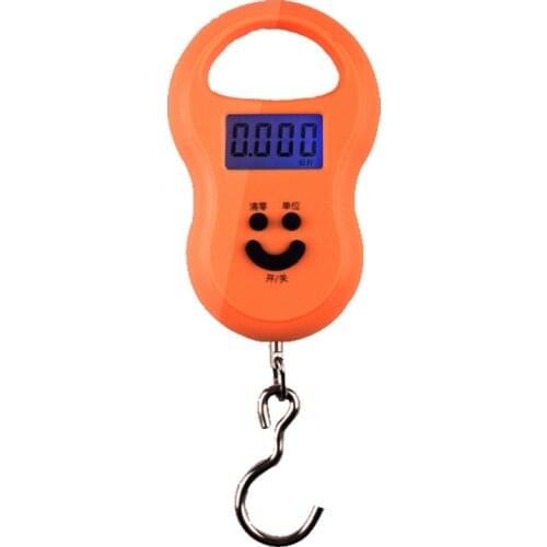 50kg x10g Mini Digital Scale for Fishing Luggage Travel Weighting Steelyard Hanging Portable Electronic Hook Kitchen Weight Tool