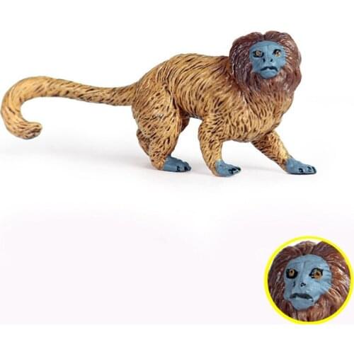 Simulation Wild Animal Orangutan Monkey Plastic Model Golden Lion Face Tamarin Childrens Toy Collection Ornaments Hand-made
