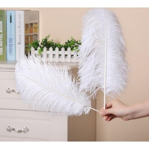 10-200pcs White ostrich feathers for jewelry making wedding decoration accessories diy supplies Carnival dancer plumas 15-70CM
