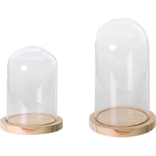 2 Pcs Landscape Terrarium Cover Vase Display Container Desk Decor Tray S & L