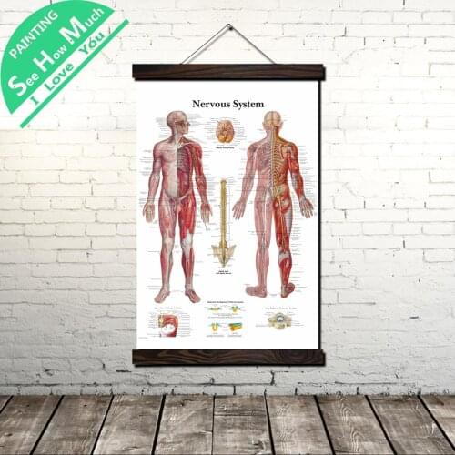 Body Skeletal System Scroll Painting Canvas Vintage Poster and Prints Wall Art Pictures Living Room Bedroom Farmhouse Decoration