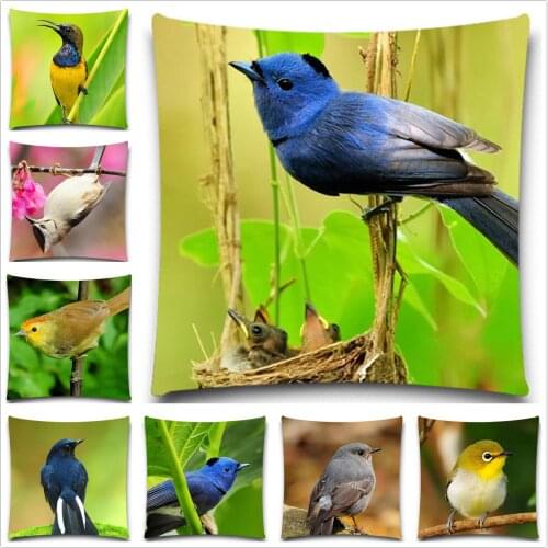 Animal country decor car sofa decorative pillow cover 5 size 9 style Colorful throw pillows case Bird cushion cover