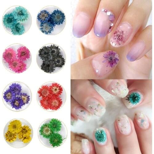 Dried Flowers Leaf Nail Decoration Natural Floral Sticker 3D Dry Beauty Nail Art Decals Jewelry UV Gel Polish Manicure