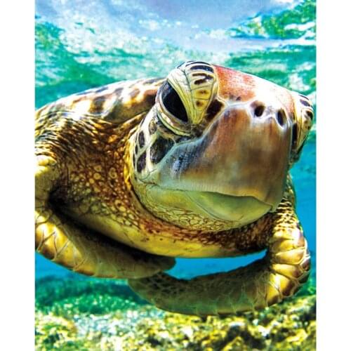 DIY 5D Home Decoration Diamond Embroidery Sea Turtel Full Round Diamond Cross Stitch Set Animal Painting Resin Hobby Craft