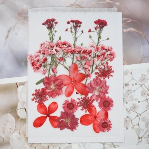 Handmade Flower Paper DIY Candle Making Ancient Papermaking Dry Flower Material Package Bookmark True Flower Plant Specimen