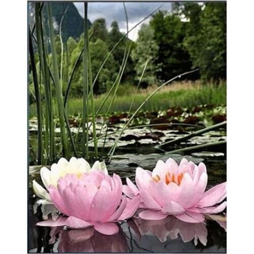 5D DIY Diamond Painting Lotus Embroidery Cross Stitch Decoration Home Gift WG2110