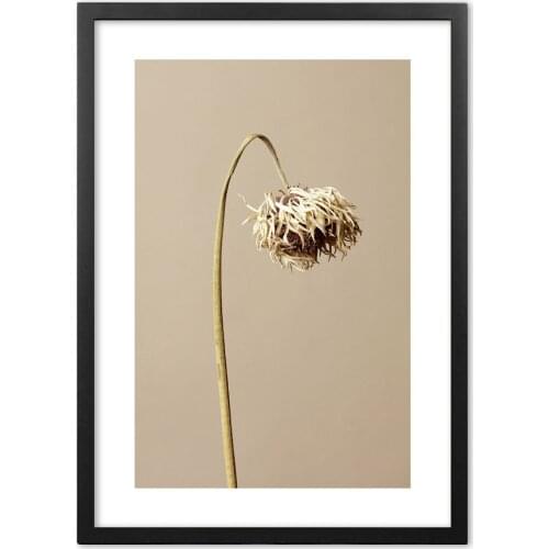Nordic Botanical Withered Plants Yellow Flower Photography Wall Art Paper Painting Landscape Wall Pictures For Living Room Decor