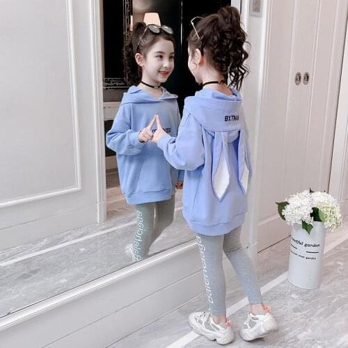 Children Clothing 2020 Autumn spring Toddler Girls Clothes Hooded Costume Outfit Suit Kids Tracksuit For Girls Clothing Sets