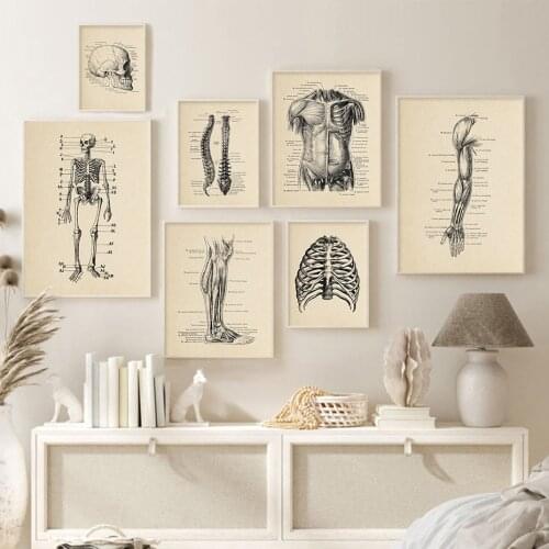 Human Skeleton Anatomy Skull Vintage Medical Poster Clinic Wall Art Canvas Painting Print Pictures for Education Hospital Decor