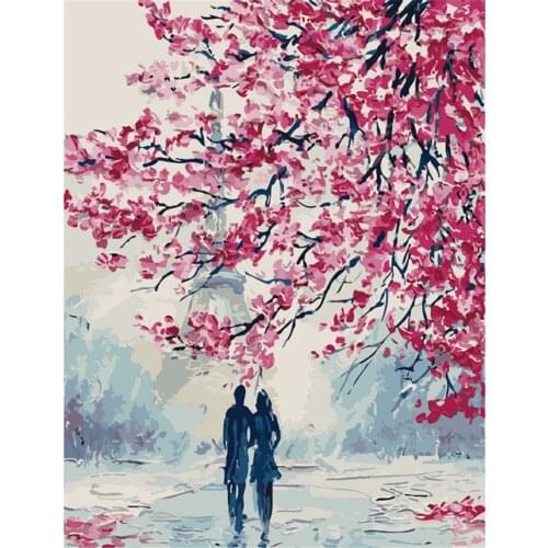 Paint by Numbers Kits for Adults DIY 40CM*50CM ALI_V1_S2254