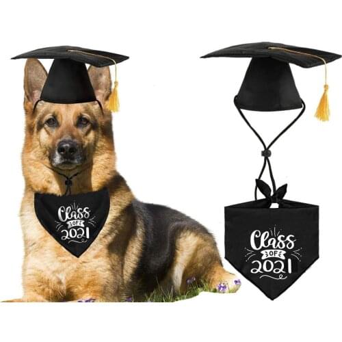 2021 new pet dog doctor hat dog cat graduation season bachelor hat triangle scarf black suit