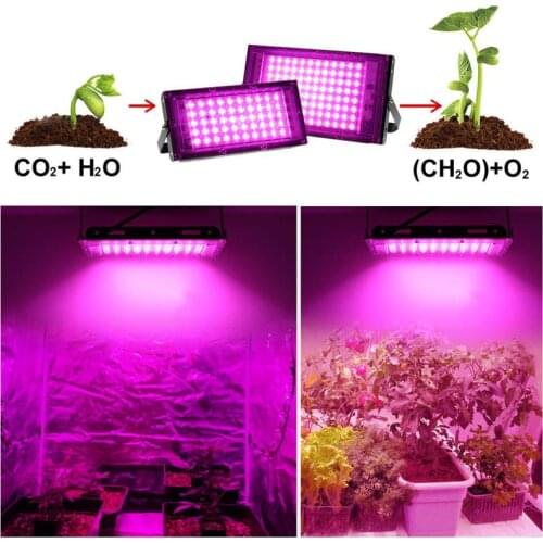 LEDMOMO LED Plant Lamps