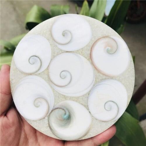 Ammonite Fossil Slice Plate Natura Shell a compassl MADAGASCAR FOSSIL SPECIMEN HEALING decoration