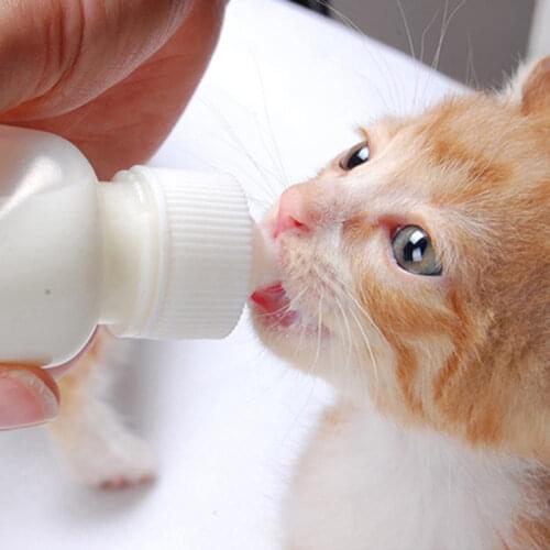 Creative New 50ml Baby Dog Cat Water Bottle Kitten Feeding Bottles Dog Feeder With Brush Plastic Puppy Nursing Milk Bottle